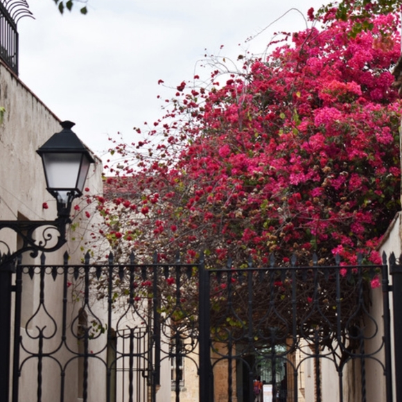 FOLLOW MY ETSY SHOP IN MY BIO - Picture 5 of 9